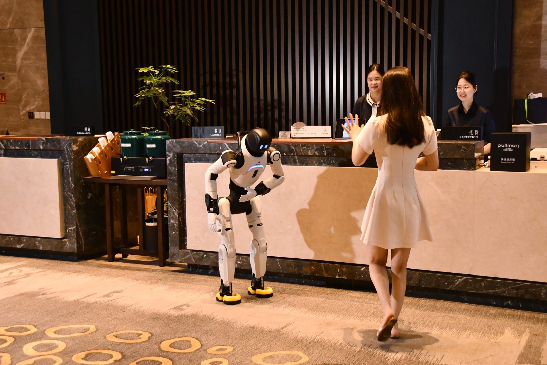 岳阳铂尔曼酒店 人形机器人